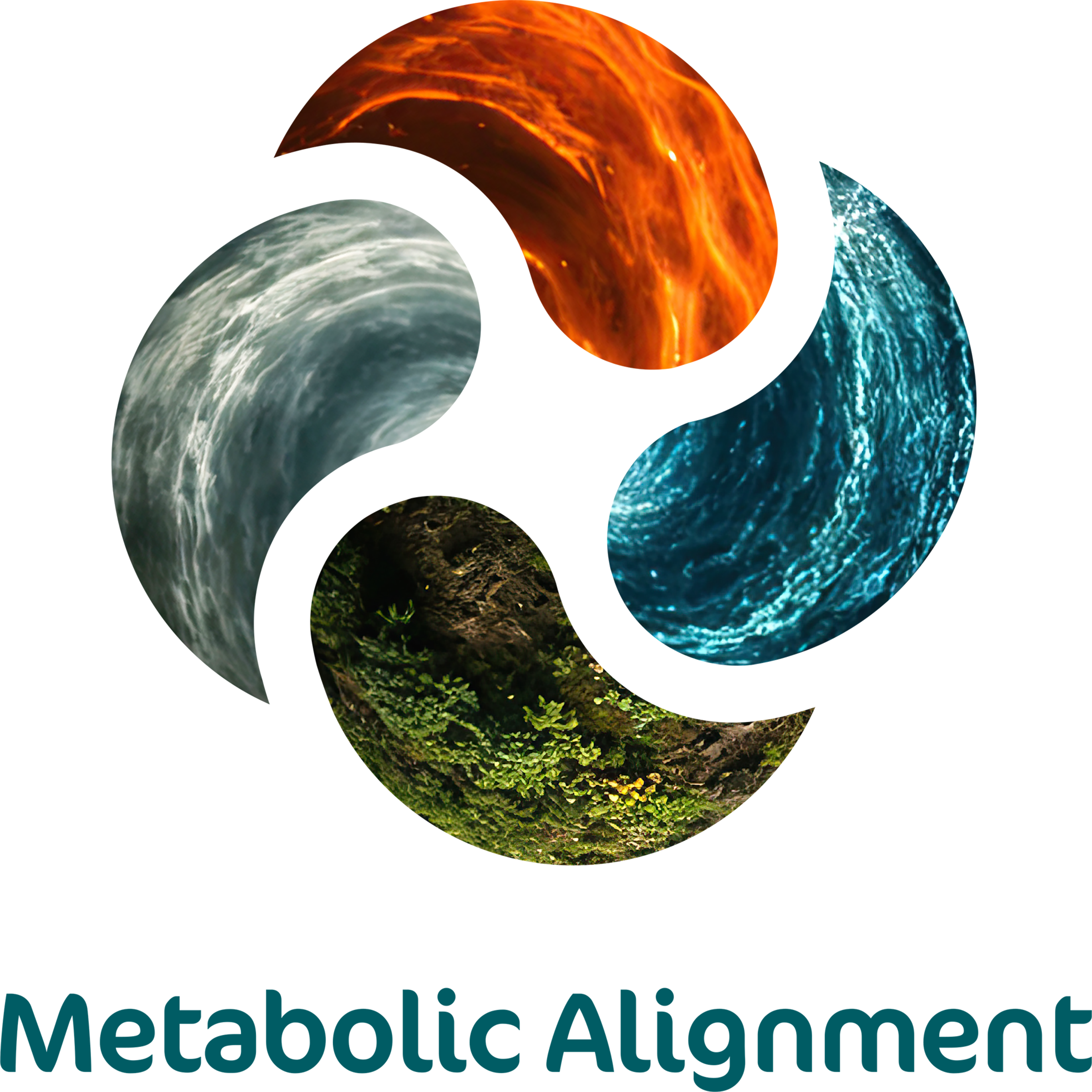 https://www.metabolicalignment.nz/blog